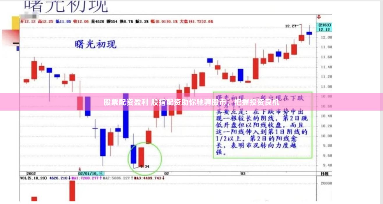 股票配资盈利 股指配资助你驰骋股市，把握投资良机