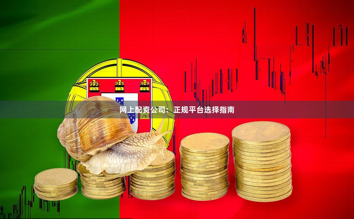 网上配资公司：正规平台选择指南